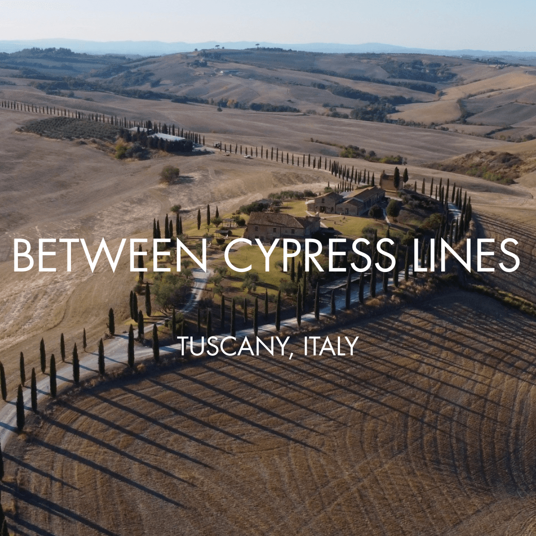 Between Cypress Lines